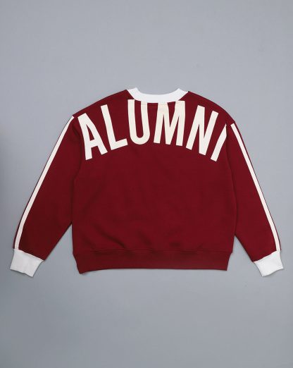 Harry Potter Printed Relaxed Fit Sweatshirt For Women - Image 5
